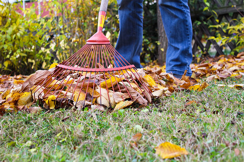 Gartenpflege rund um Stuttgart